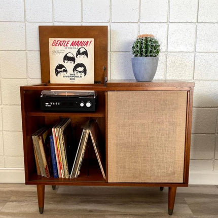 Coco Artificial Cactus Potted Plant 11"