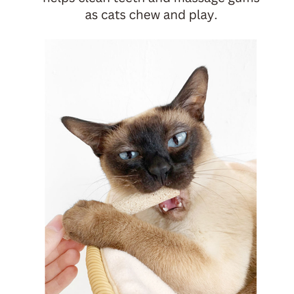 Silvervine Egg Rolls 2pcs