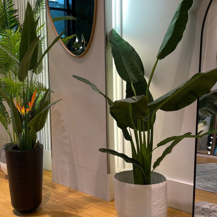 Chata - Brass Basket Planter (Multiple Sizes)