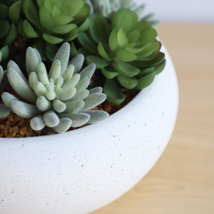 Zed Faux Succulent Arrangement in Low White Pot 7.1"