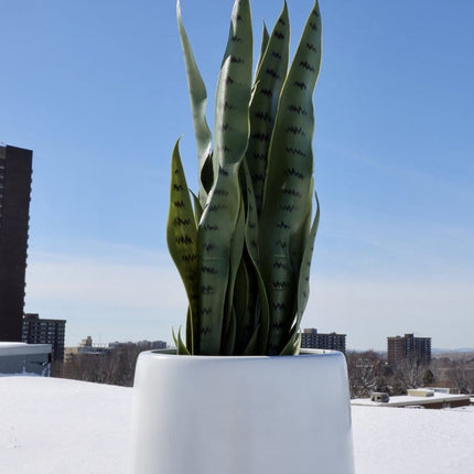 Fabi - White Brass Floor Planter