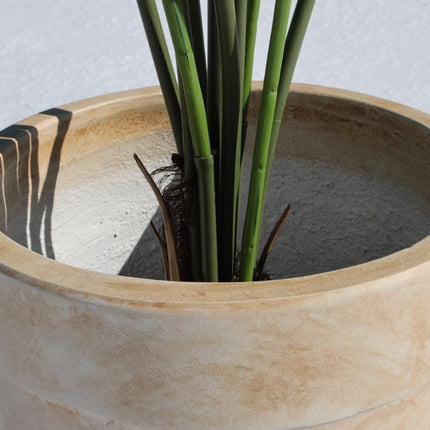 Yucata Cement Planter 15''