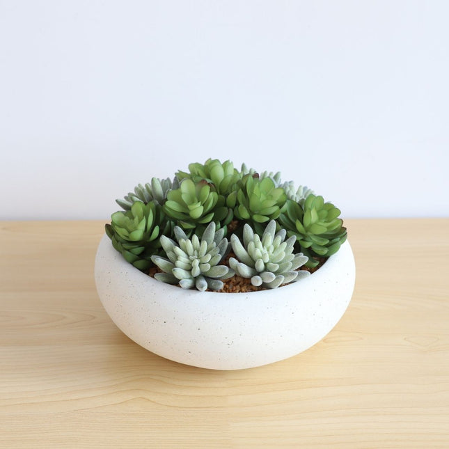 Zed Faux Succulent Arrangement in Low White Pot 7.1"