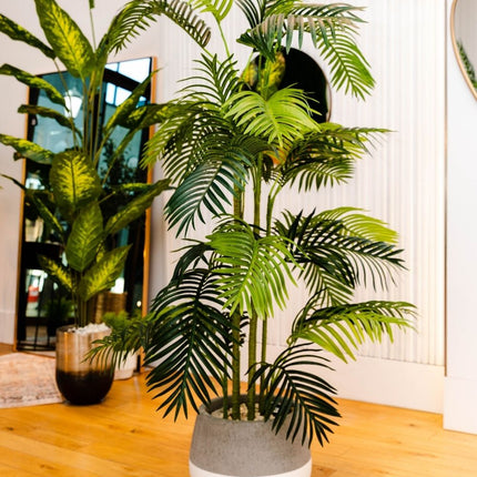 Arlo Artificial Hawaii Kwai Palm Tree Potted Plant (Multiple Sizes)