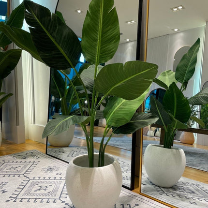 Merida Round Cement Planter (Multiple Sizes)