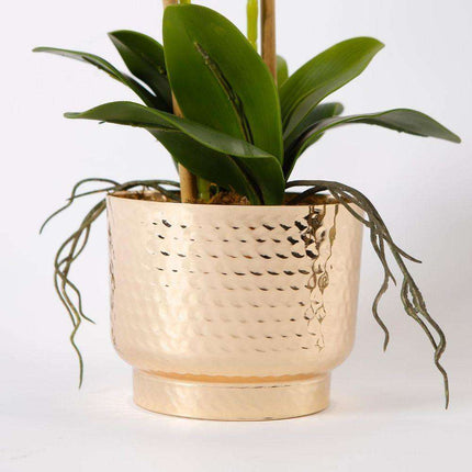 Gladiola Faux Potted Orchid Floral Arrangement 24 Inches