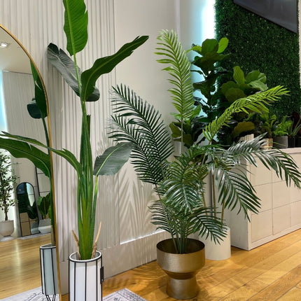 Mati - White Planter With Black Stand