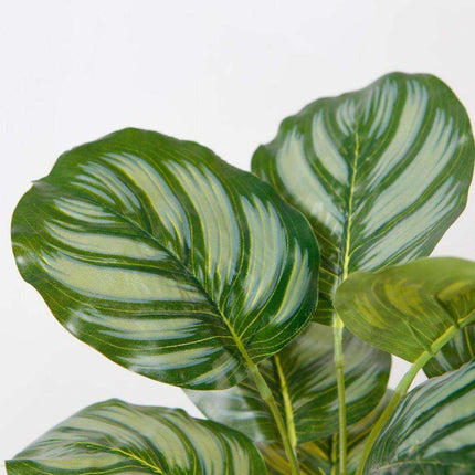 Calathea Faux Potted Plant