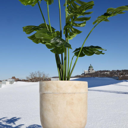 Yucata Cement Planter 15''