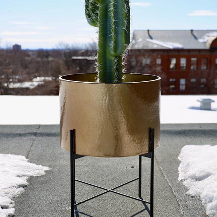 Chava - Brass Mid-Century Planter With Black Stand (Multiple Sizes)
