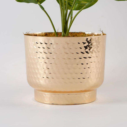 Calathea Faux Potted Plant