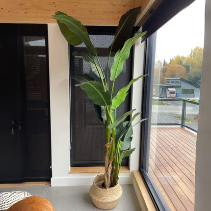 Maza Artificial Bird Of Paradise Potted Plant (Multiple Sizes)