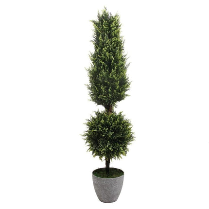 Jacob Potted Boxwood Topiary Plant (Multiple Sizes)