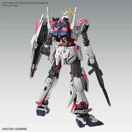 MG 1/100 - Gundam C-Packs - NARRATIVE - Ver.Ka