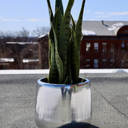 Paola - Brass Floor Planter (Multiple Sizes)