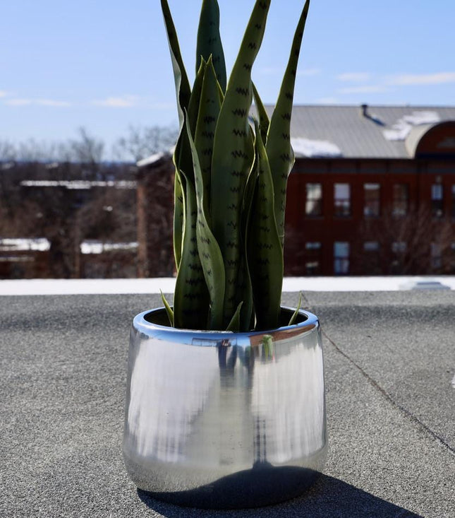 Paola - Brass Floor Planter (Multiple Sizes)