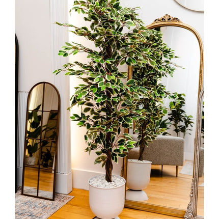 Olaya Artificial Ficus Potted Plant 6'