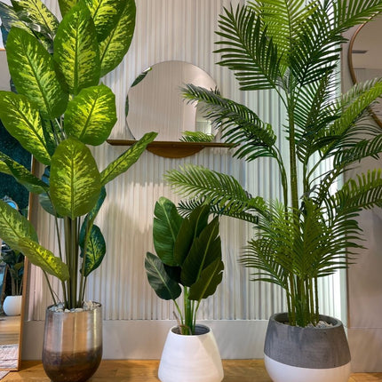 Petra - Brass Planter (Multiple Sizes)