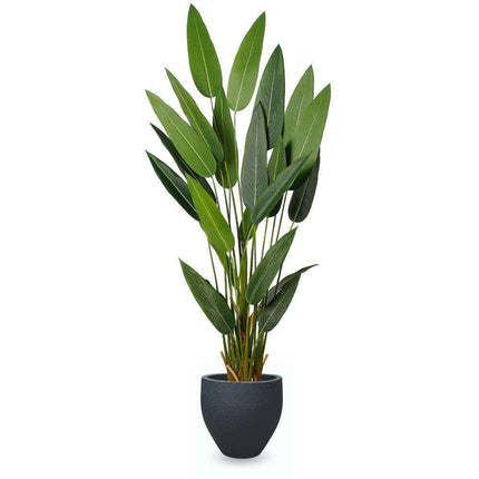 Aba Black Cement Planter (Multiple Sizes)