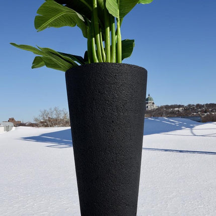 Vaneto Black Cement Planter (Multiple Sizes)