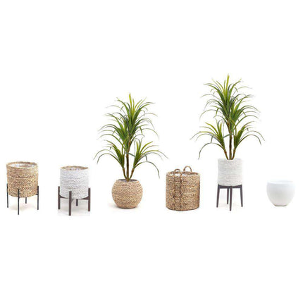 Aga Artificial Century Potted Plant 47''