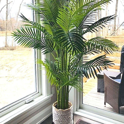 Arlo Artificial Hawaii Kwai Palm Tree Potted Plant (Multiple Sizes)