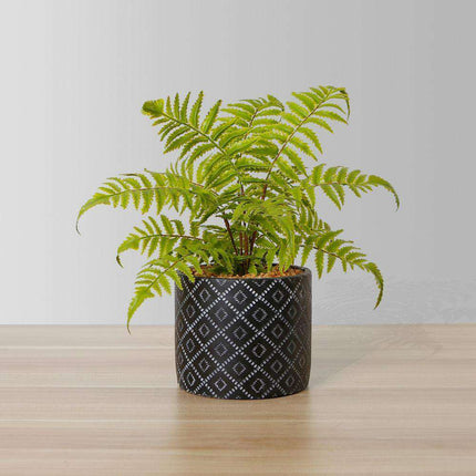 Bali Potted Faux Fern