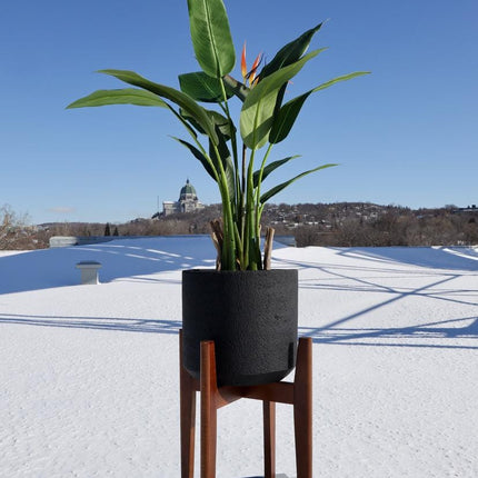 Neri Black Mid- Century Cement Planter With Wooden Stand