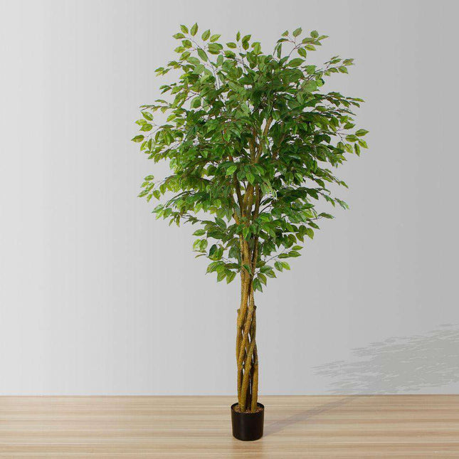 Bea Artificial Ficus Potted Plant 6.5’