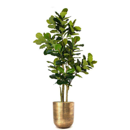 Bertooo - Brass Mid-Century Planter