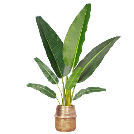 Bonita -Rattan Brass Finish Planter