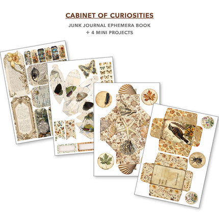 Cabinet Of Curiosities Junk Journal & Ephemera Book A4 32/Pkg