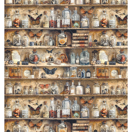 Rice Paper A4 MIXED 4/Pkg Cabinet Of Curiosities