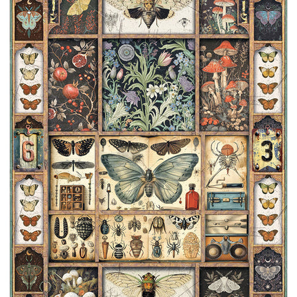 Rice Paper A4 MIXED 4/Pkg Cabinet Of Curiosities