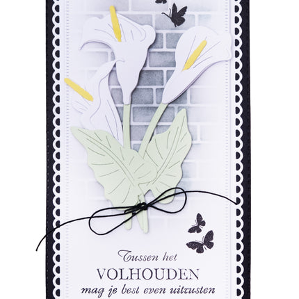 CCL Hemp Cord Stay Strong Essentials 4 PC