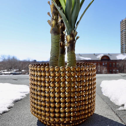 Lany - Brass Mid- Century Planter