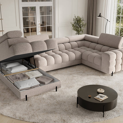 Fectory Sectional Storage Sleeper Chaise Sofa - Beige
