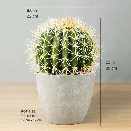Coco Artificial Cactus Potted Plant 11"
