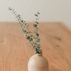 Small Stem Pair (two stems)