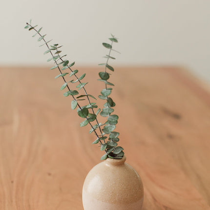 Preserved Small Stems