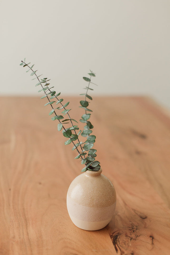 Preserved Small Stems