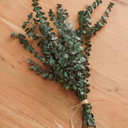 Eucalyptus Shower Bundle