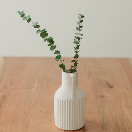 Preserved Stems - Medium