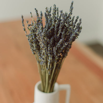 Lavender Bundle