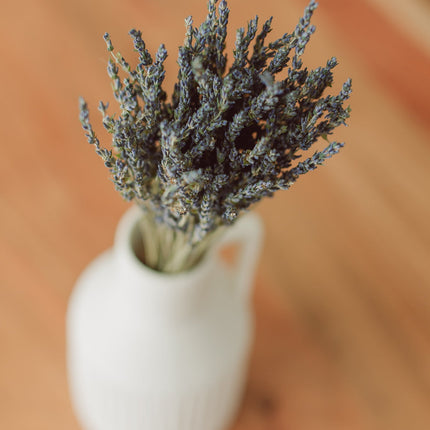 Lavender Bundle