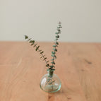 Bud Stem Pair (two stems)