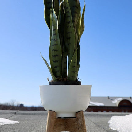 Sita - Mid-Century Turned Wood Leg Planter White (Multiple Sizes)