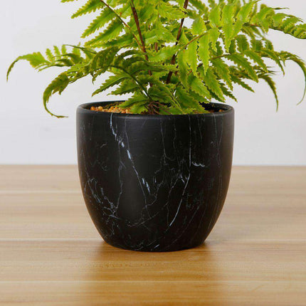 Dasa Potted Faux Fern