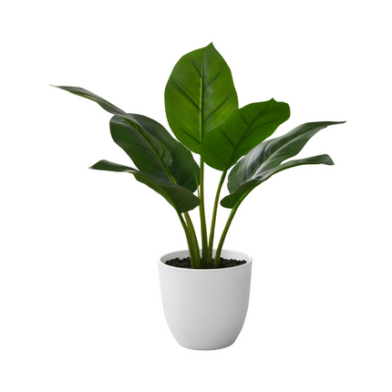 Plante artificielle - Aureum Intérieur Pot 5'', 17''H - Monarch (I 9502)
