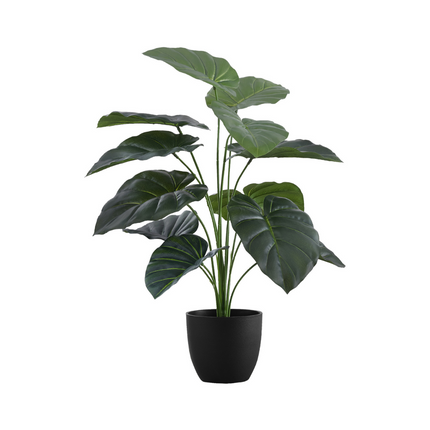 Plante artificielle - Alocasia Intérieur Pot 5'', 24''H - Monarch (I 9578)